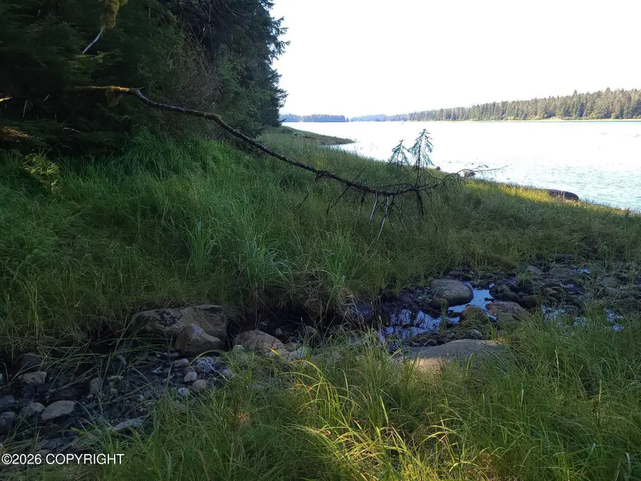 Lot 12 Wrangell Narrows, Petersburg, AK 99833 - #3