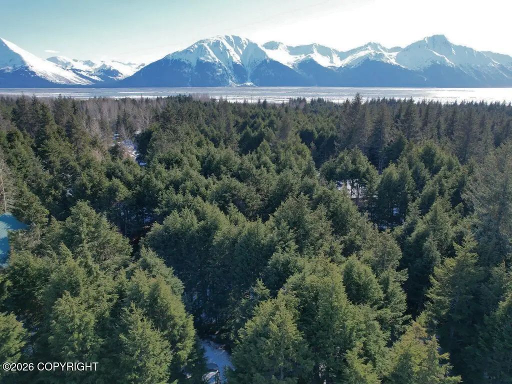 169 Agostino Mine Road, Girdwood, AK 99587 - #1
