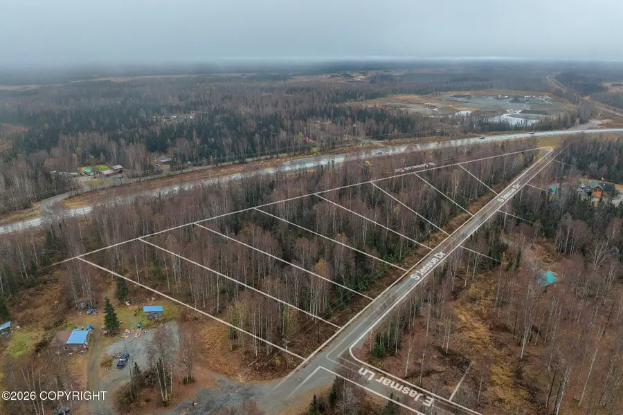 45789 S Jassue Drive, Talkeetna, AK 99676 - #3