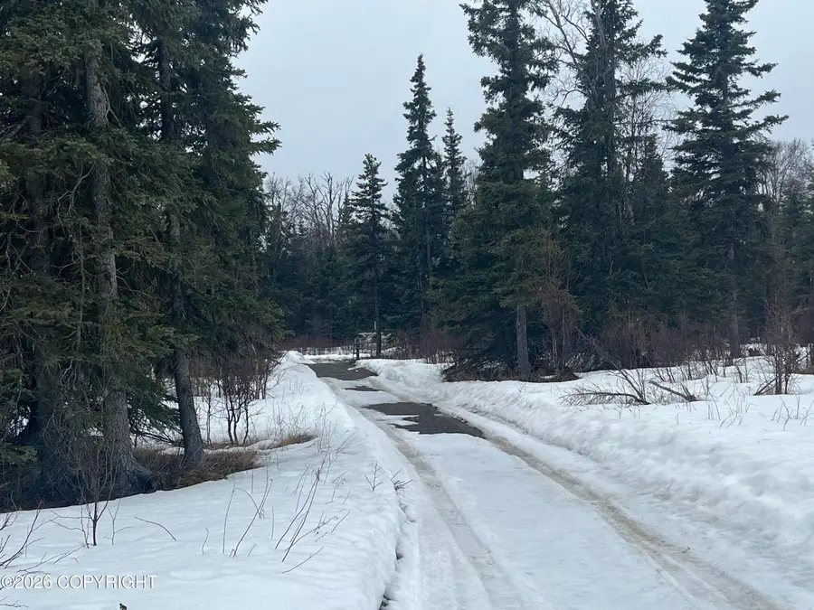 44546 Opal Street, Salamatof, AK 99611 - #2