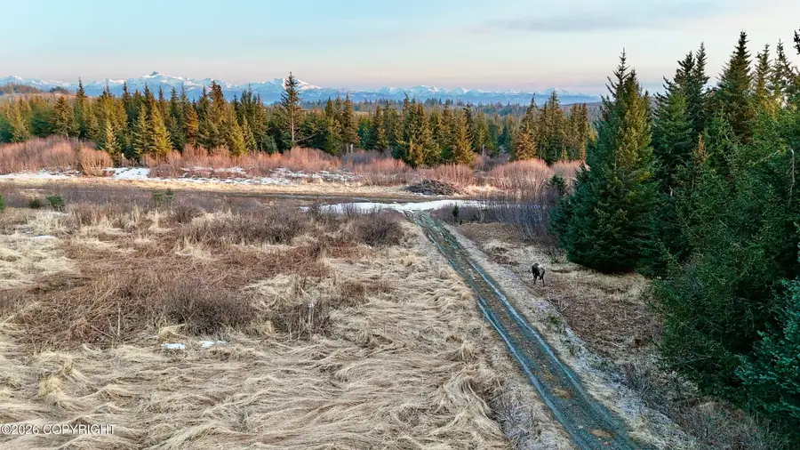 000 Cirrostratus Loop, Homer, AK 99603 - #3