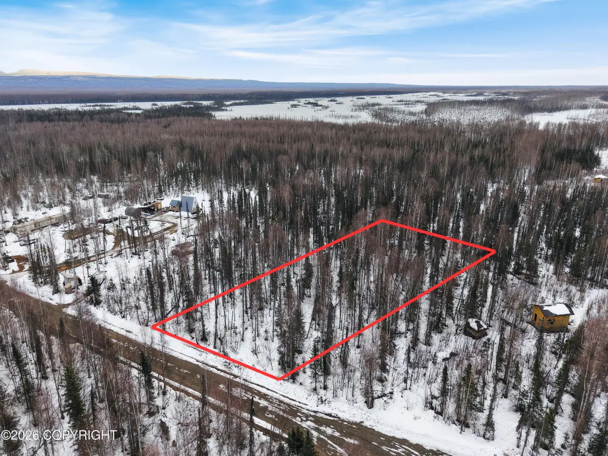 15822 E Greenleaf Drive, Talkeetna, AK 99676 - #1