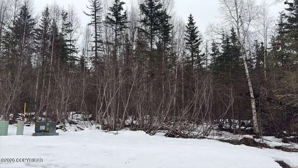 Lot 4 Harmony Drive, Eagle River, AK 99577 - #1