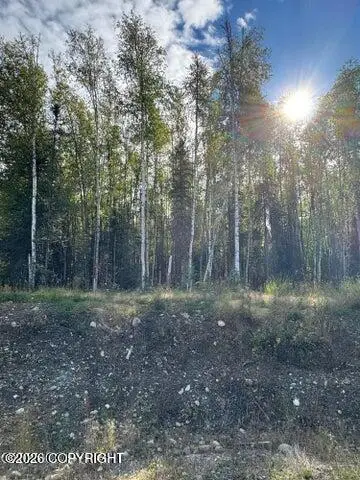 3361 N Carrillo Circle, Wasilla, AK 99623