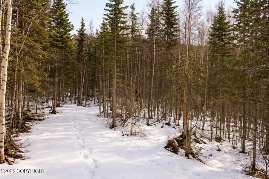 Lot 3 Harmony Drive, Eagle River, AK 99577 - #3