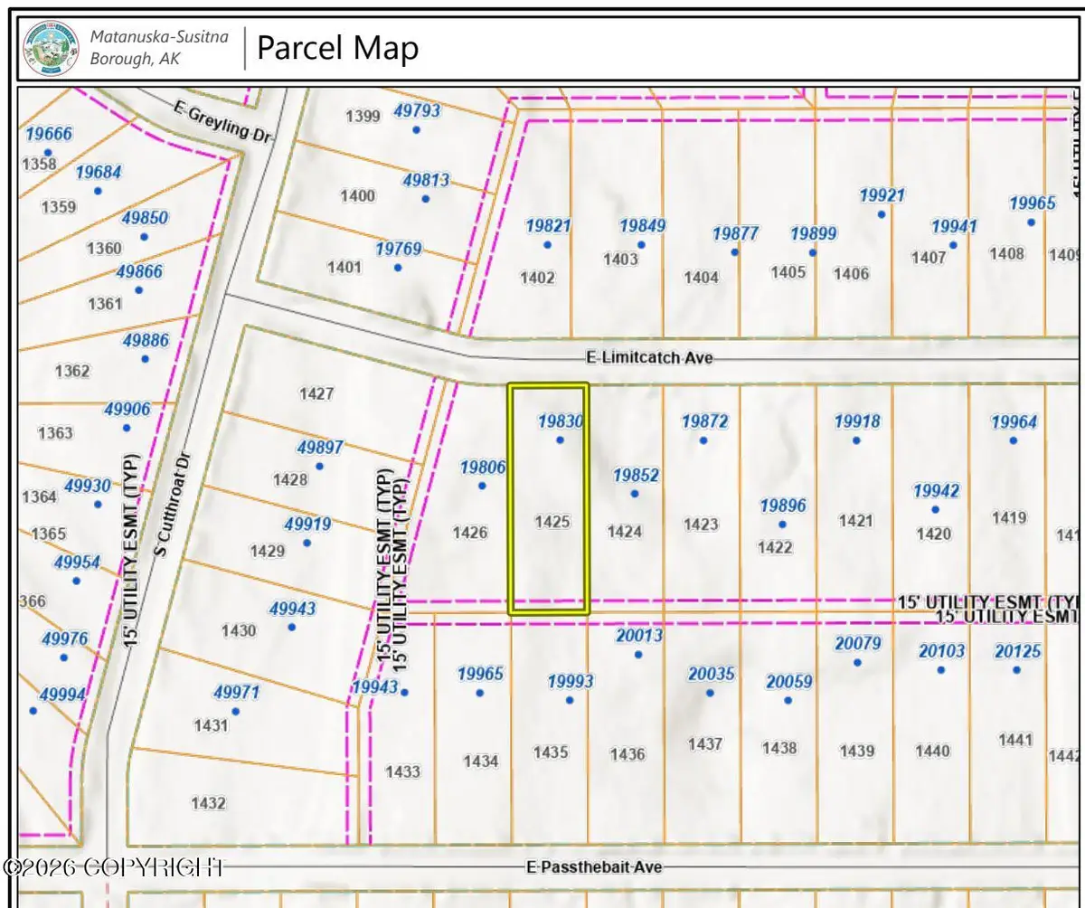 19830 E Limitcatch Avenue, Willow, AK 99688 - #1