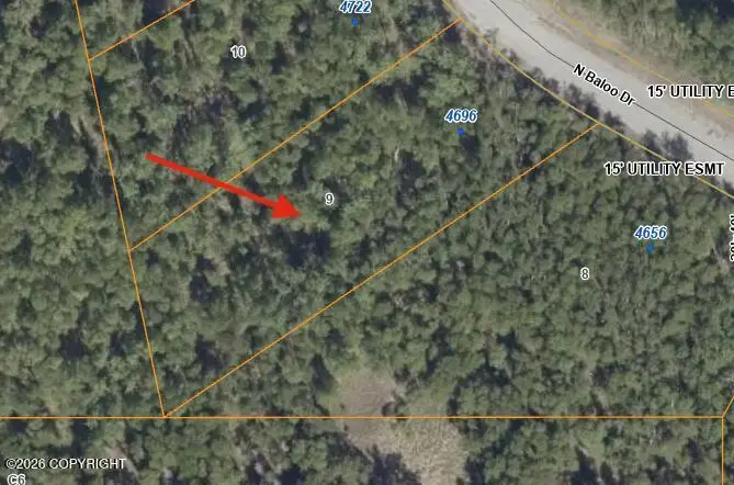 4696 N Baloo Drive, Wasilla, AK 99654 - #1