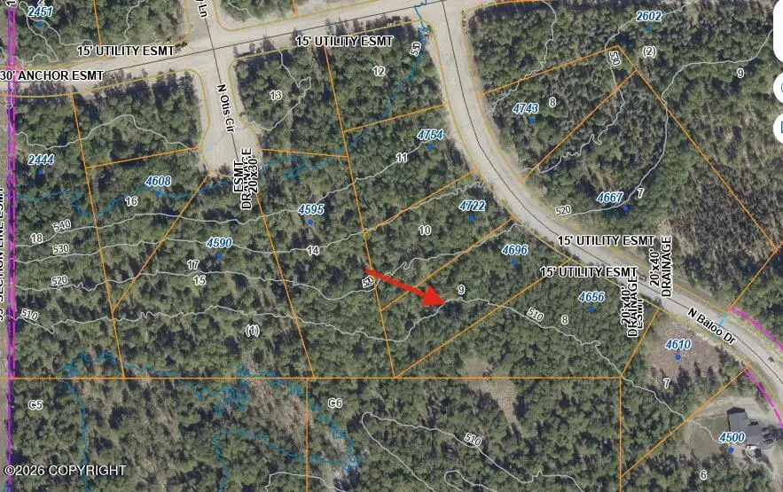 4696 N Baloo Drive, Wasilla, AK 99654 - #3