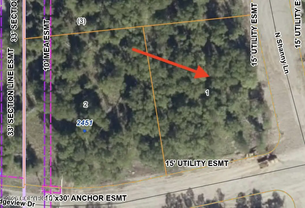 NHN N Shanny Lane, Wasilla, AK 99654 - #1