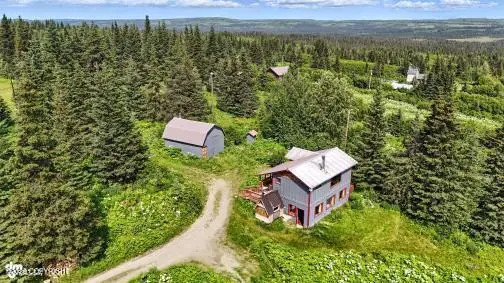 34955 Lowbush Street, Homer, AK 99603 - #1