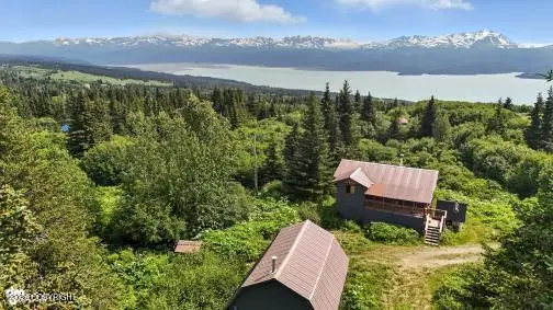 34955 Lowbush Street, Homer, AK 99603 - #2