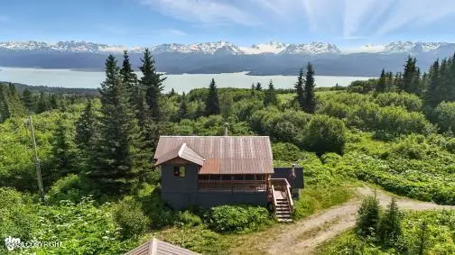 34955 Lowbush Street, Homer, AK 99603 - #3