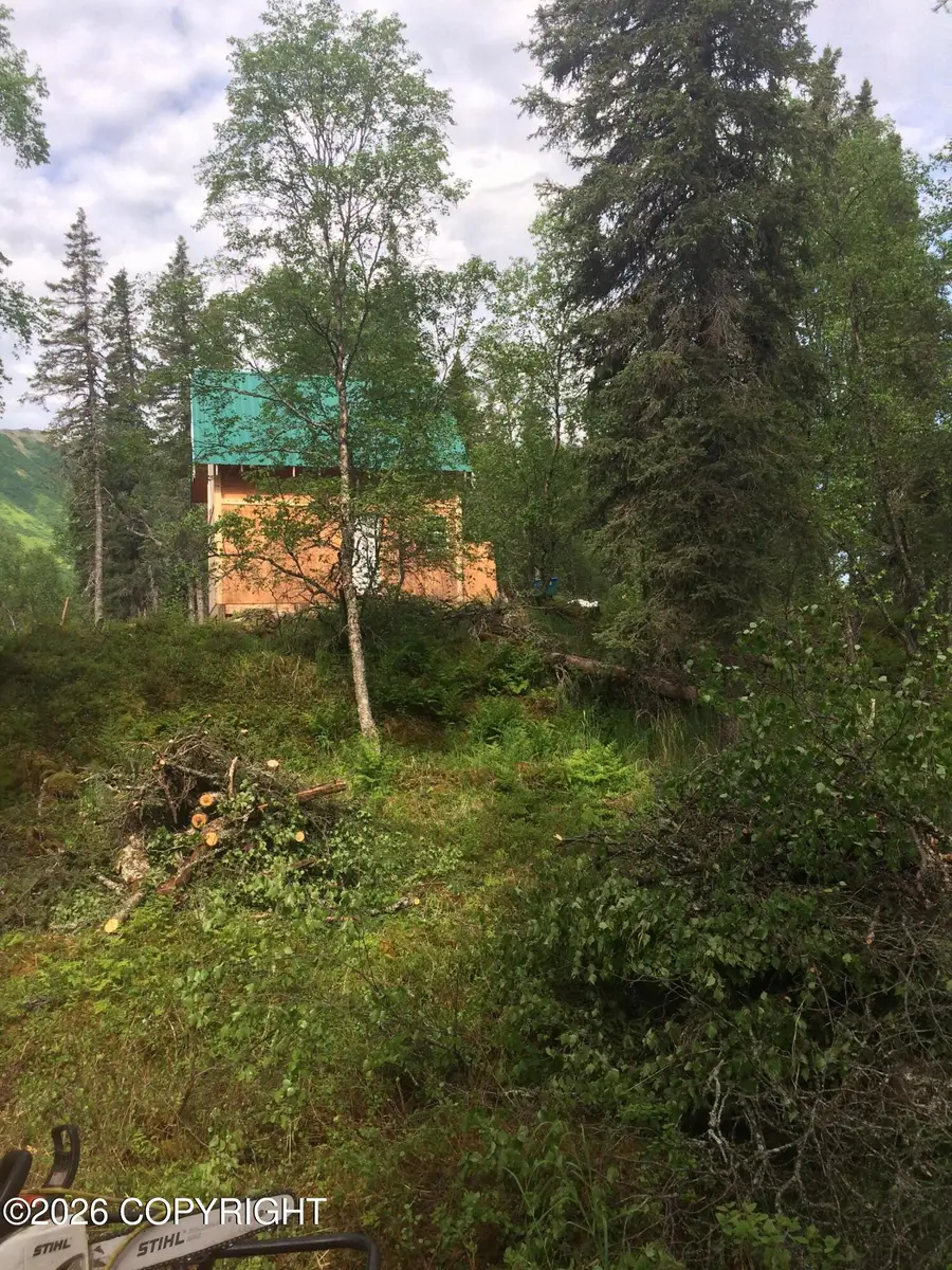 2478 Snake River, Dillingham, AK 99576 - #3