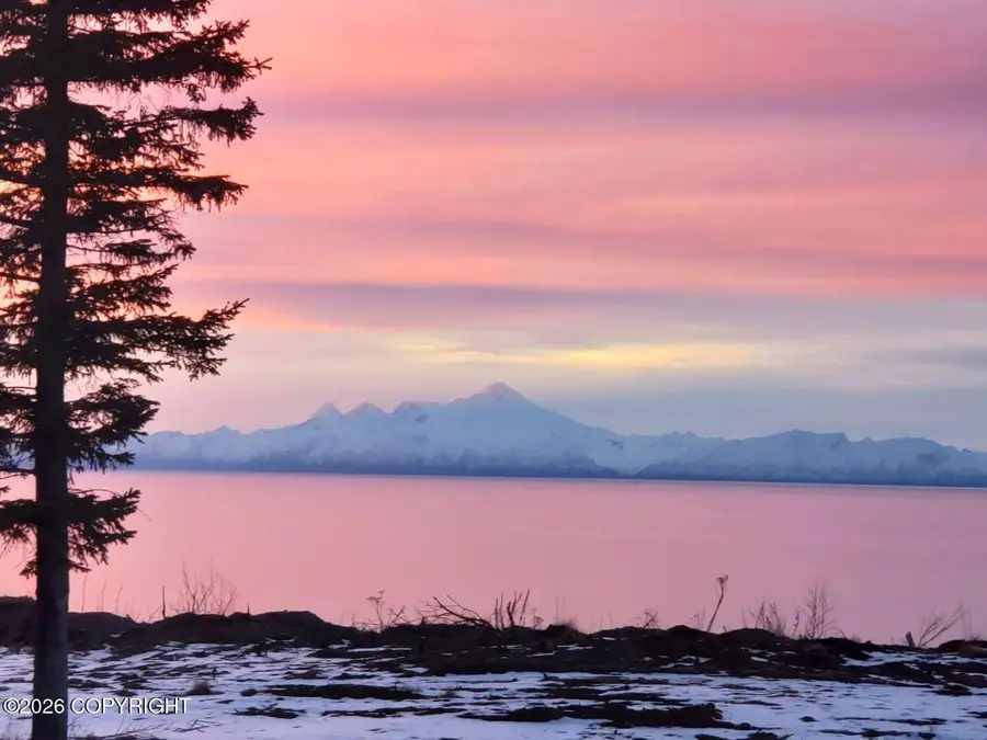 21585 Sterling Highway, Ninilchik, AK 99639 - #3
