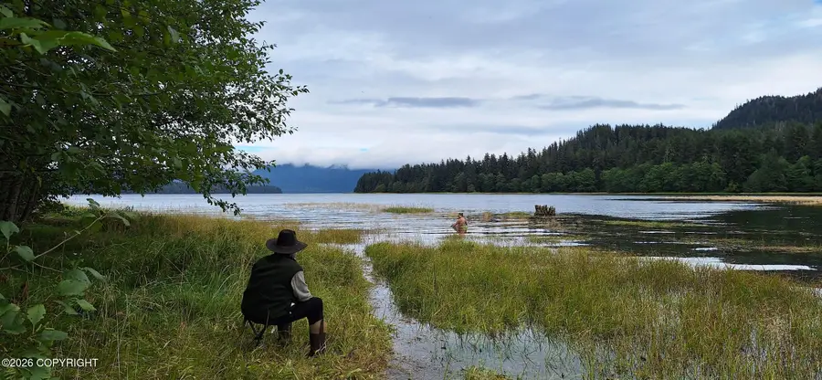000 No Road, Willow, AK 99820 - #3