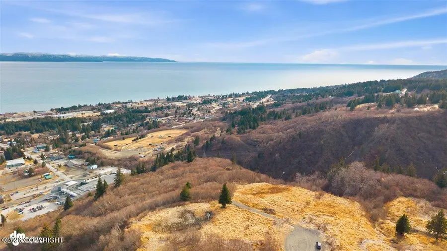 229 Tulin Blf W Court, Homer, AK 99603 - #2