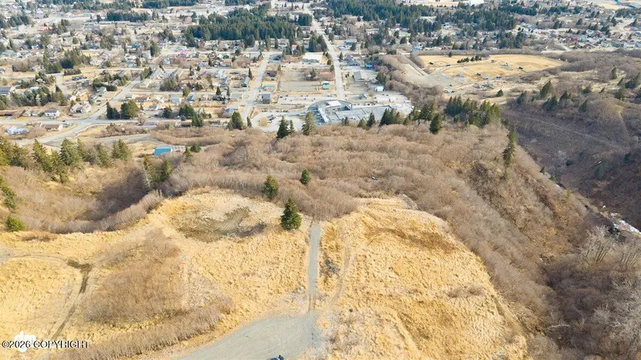 229 Tulin Blf W Court, Homer, AK 99603 - #3