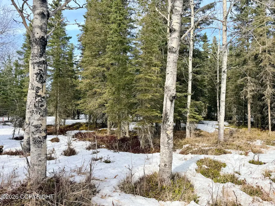 23855 Herrin Circle, Kasilof, AK 99610 - #2