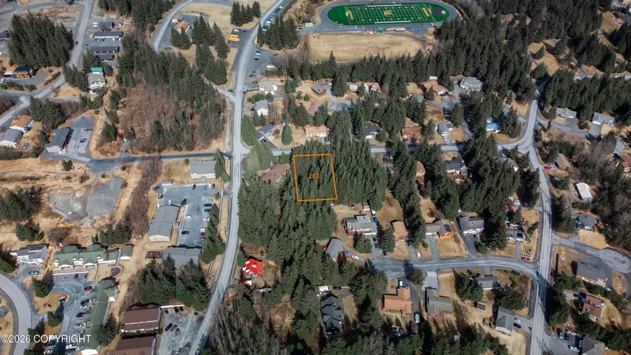 203 Benson Drive, Seward, AK 99664 - #3