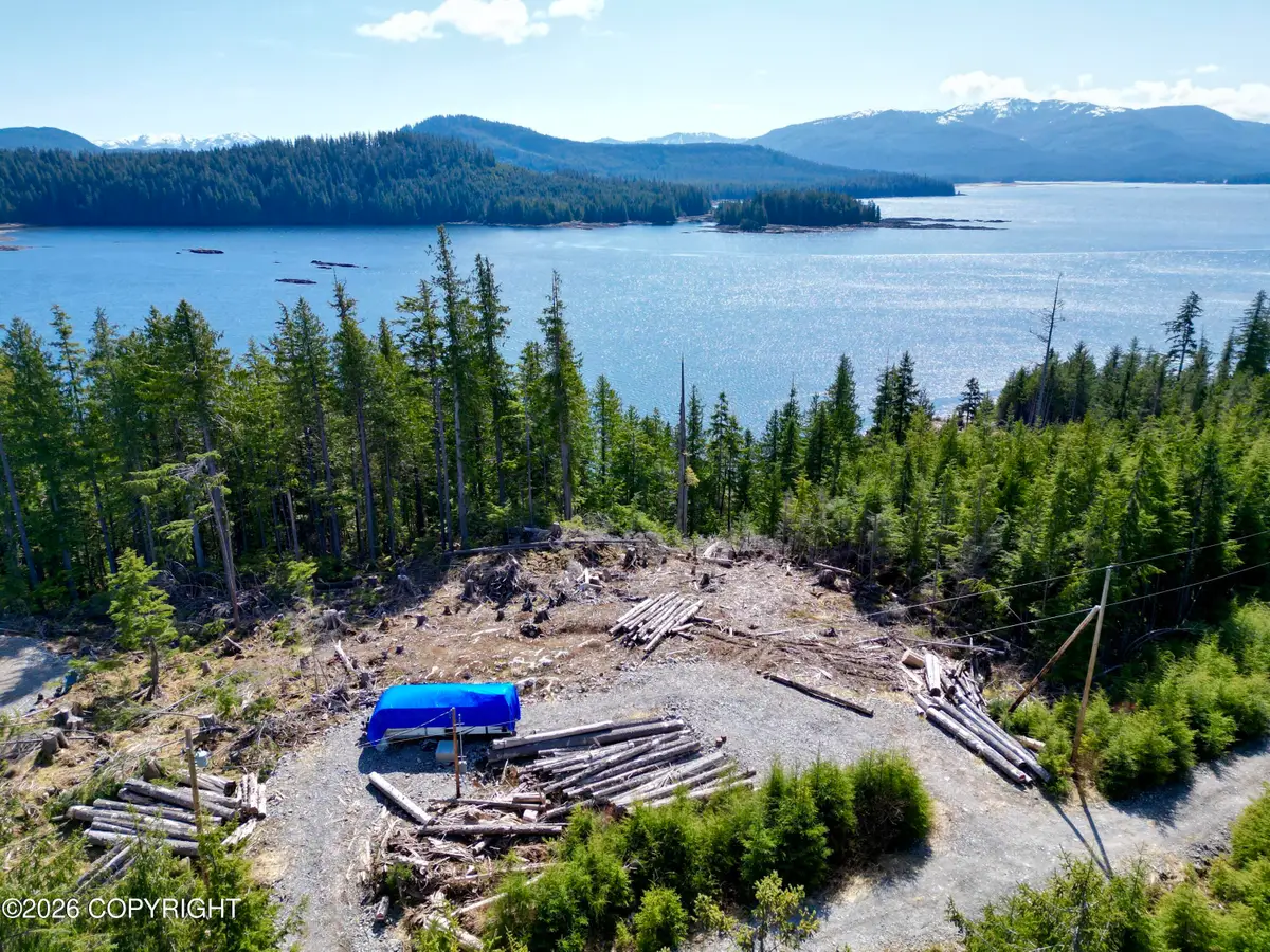 11B Bayview Drive, Naukati Bay, AK 99950 - #1