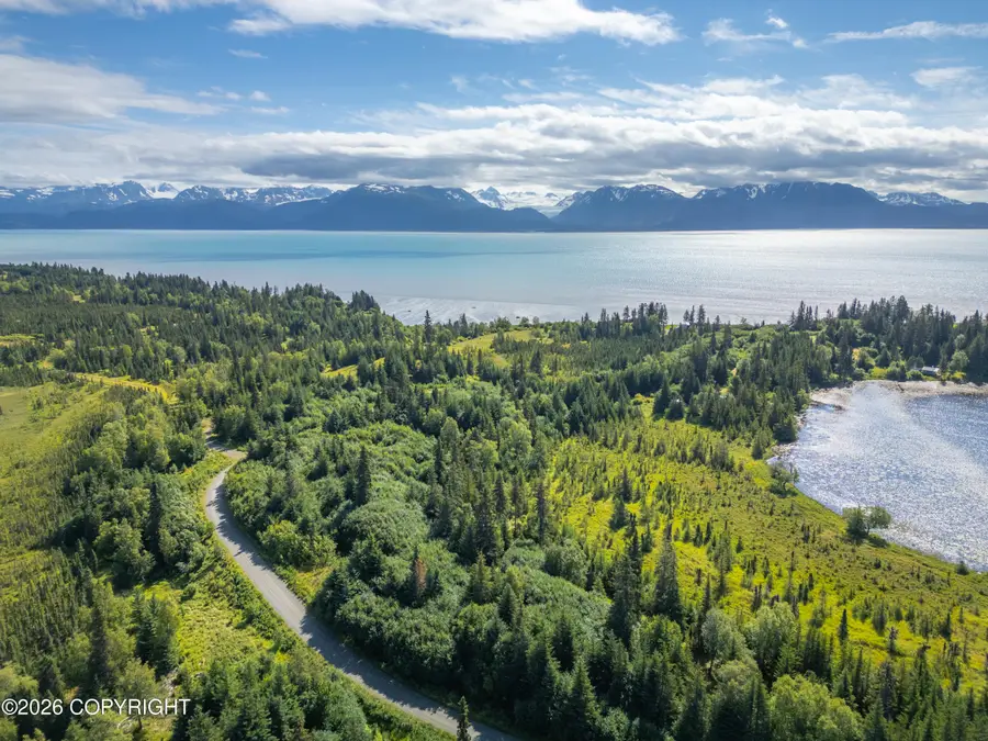 L5 Stone Step Circle, Homer, AK 99603 - #3