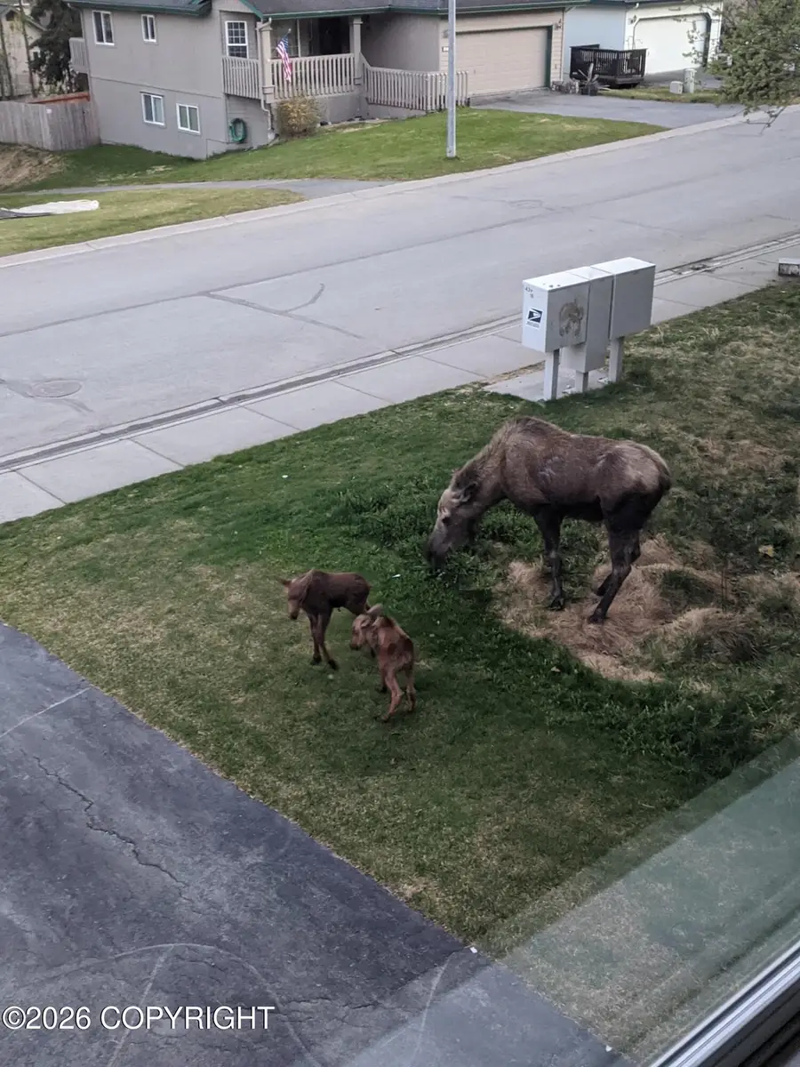 18809 Danny Drive, Eagle River, AK 99577 - #3