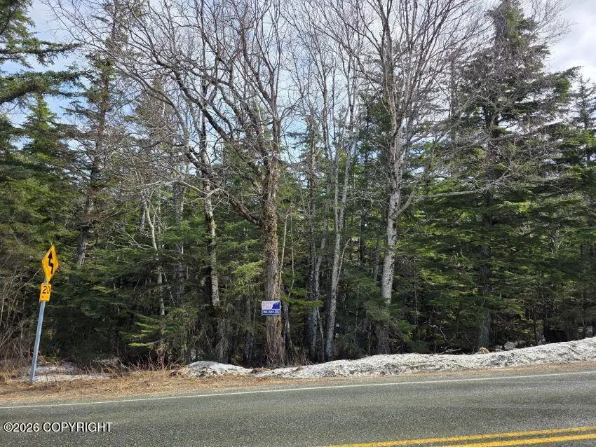 L5, Sec 19 Mud Bay Rd, Haines, AK 99827 - #2