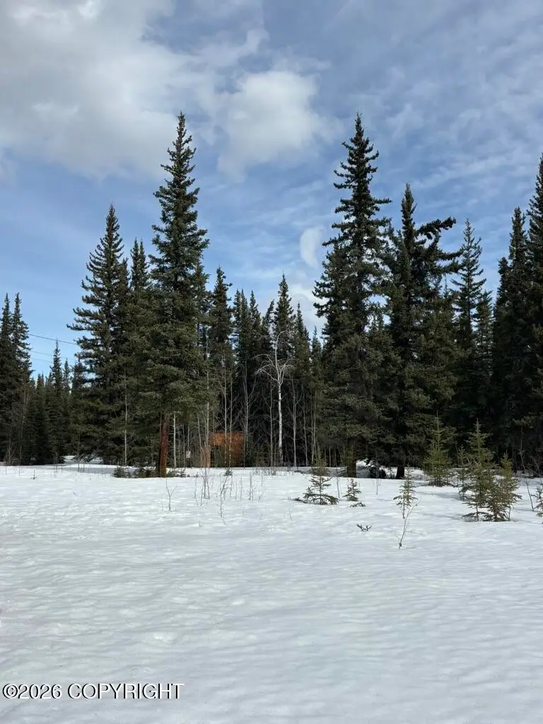 1318.5 N Alaska Highway, Tok, AK 99780 - #1
