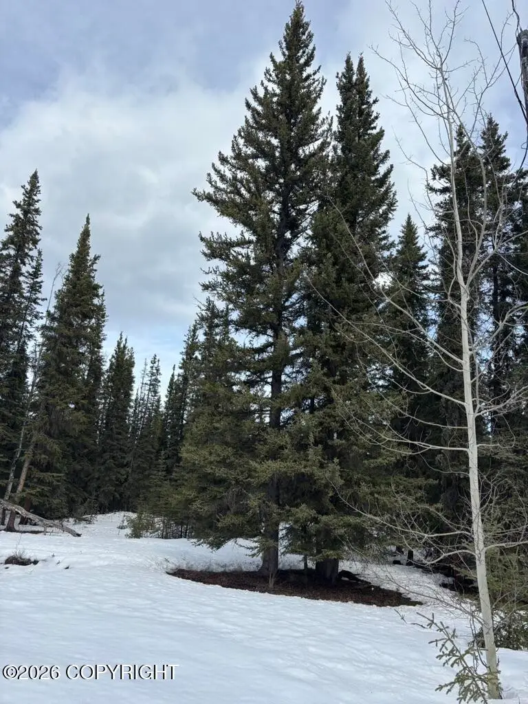 1318.5 N Alaska Highway, Tok, AK 99780 - #3