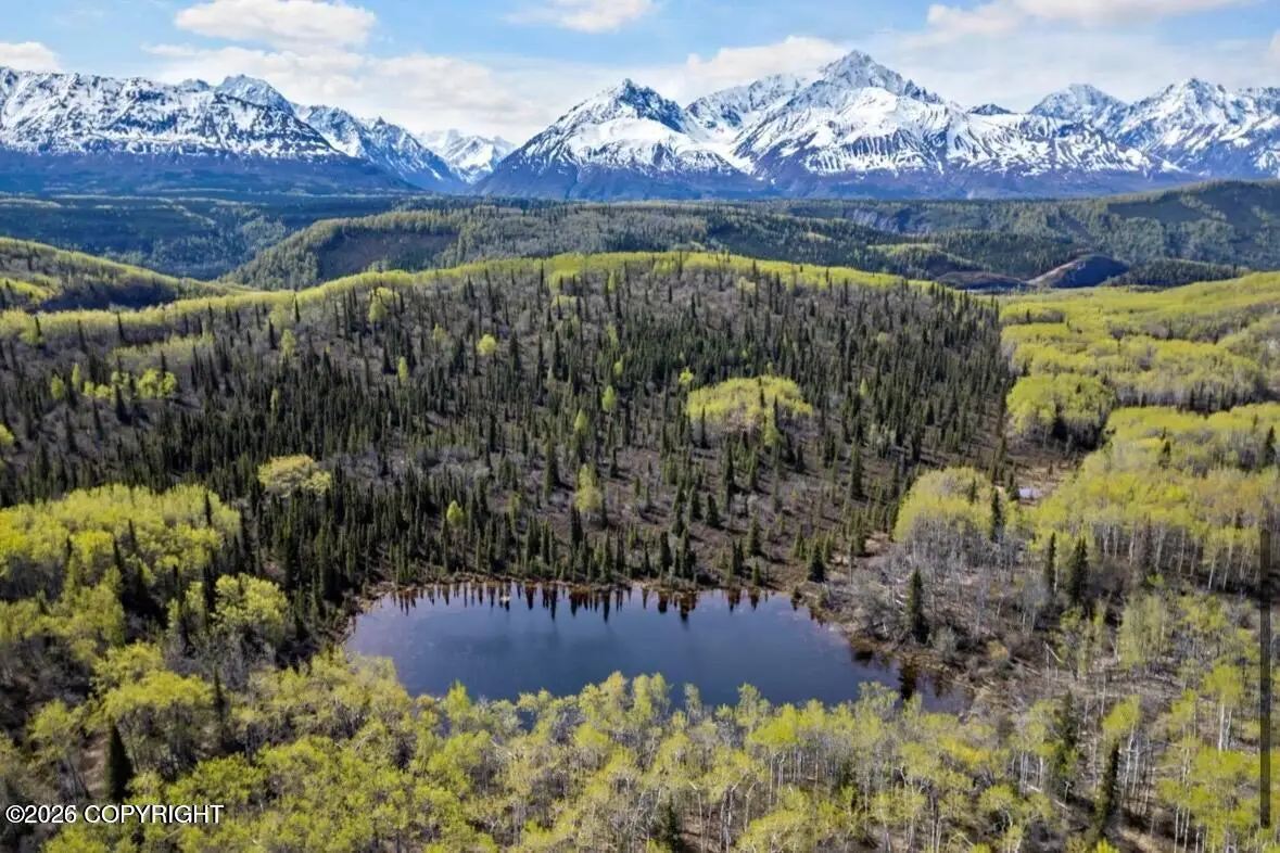 B005 S Packsaddle Road, Chickaloon, AK 99674 - #1
