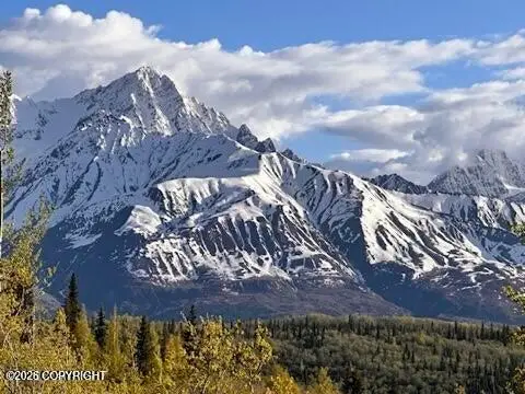 B005 S Packsaddle Road, Chickaloon, AK 99674 - #2