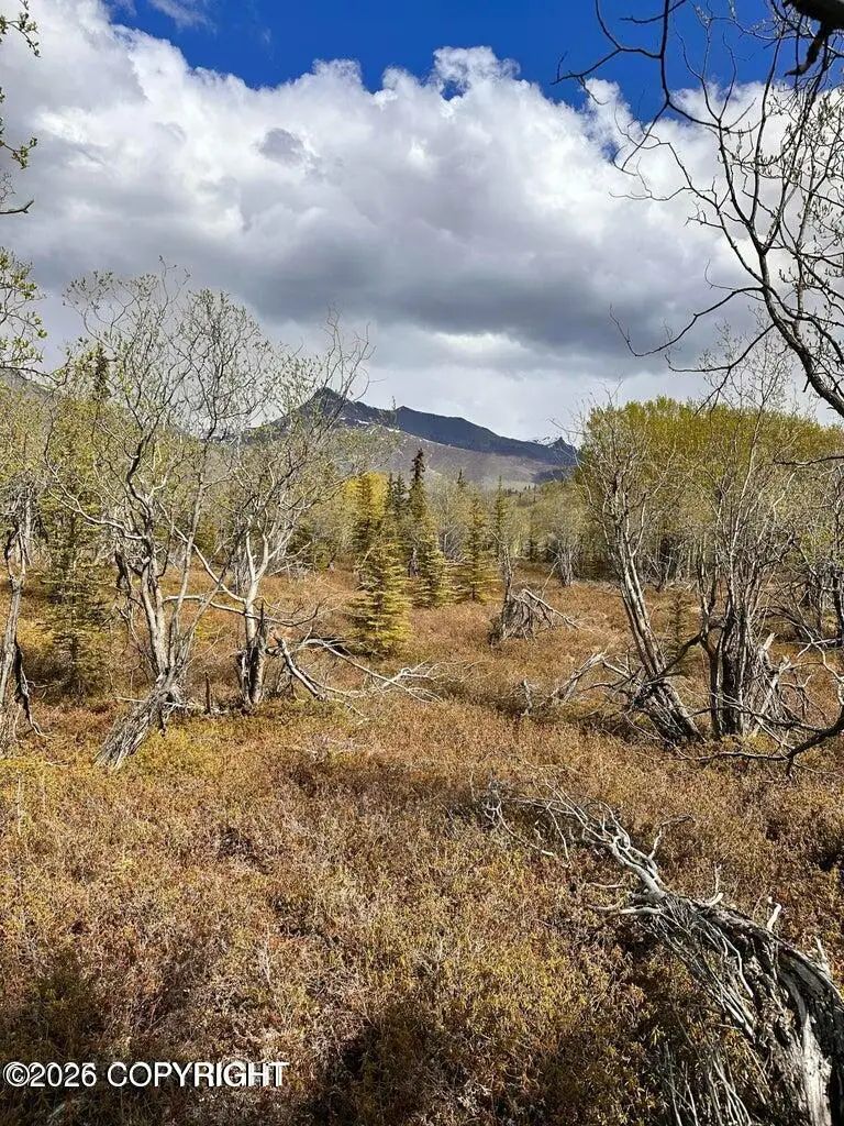 B005 S Packsaddle Road, Chickaloon, AK 99674 - #3