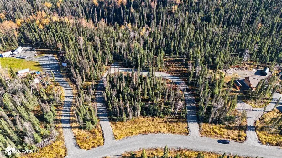 32788 Tulip Circle, Soldotna, AK 99669 - #2