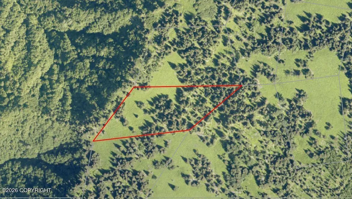 Tract B Fox River, Homer, AK 99603 - #1