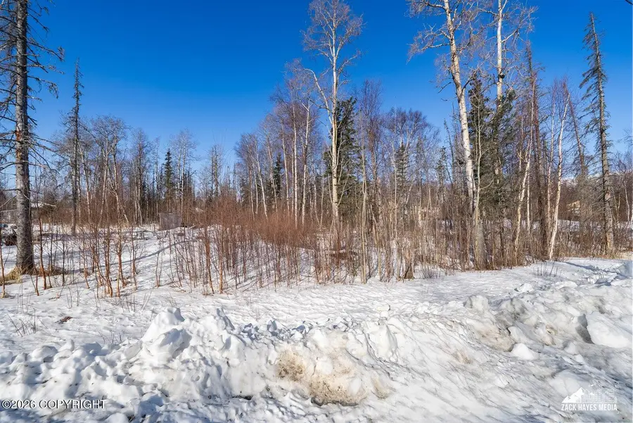 5606 N Gooseberry Circle, Wasilla, AK 99654 - #2