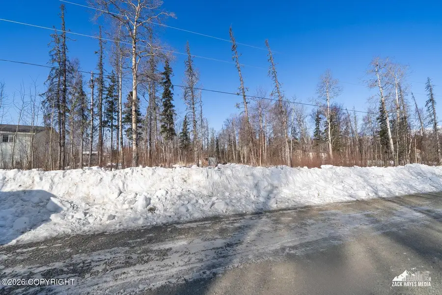 5606 N Gooseberry Circle, Wasilla, AK 99654 - #3