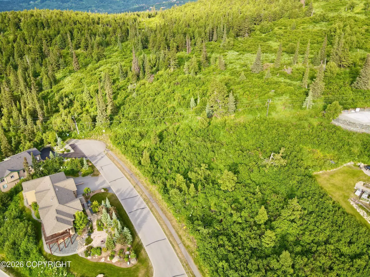 6550 Prominence Pointe Drive, Anchorage, AK 99516 - #1