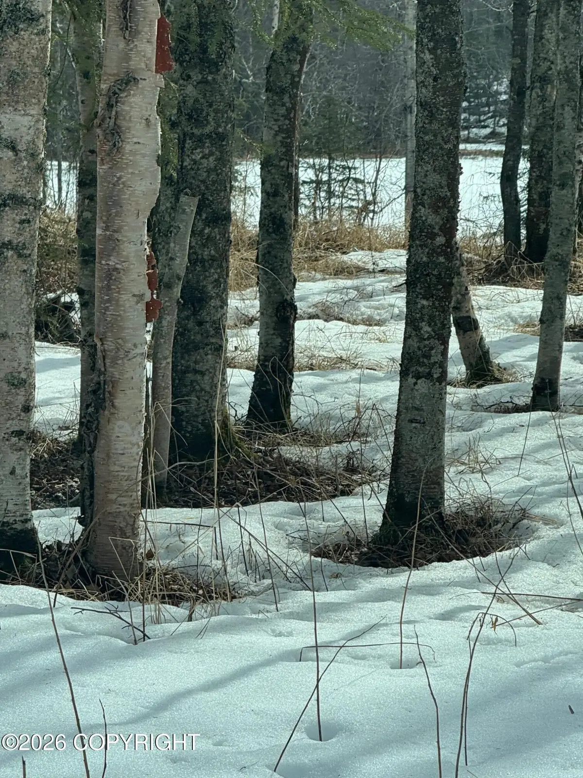 L7C B2 Baun Drive, Nikiski, AK 99635 - #1