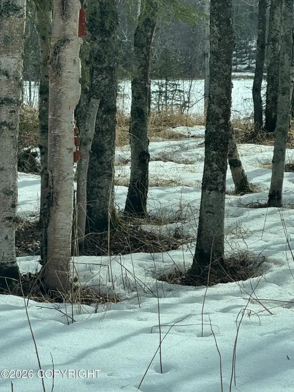 L7C B2 Baun Drive, Nikiski/North Kenai, AK 99635