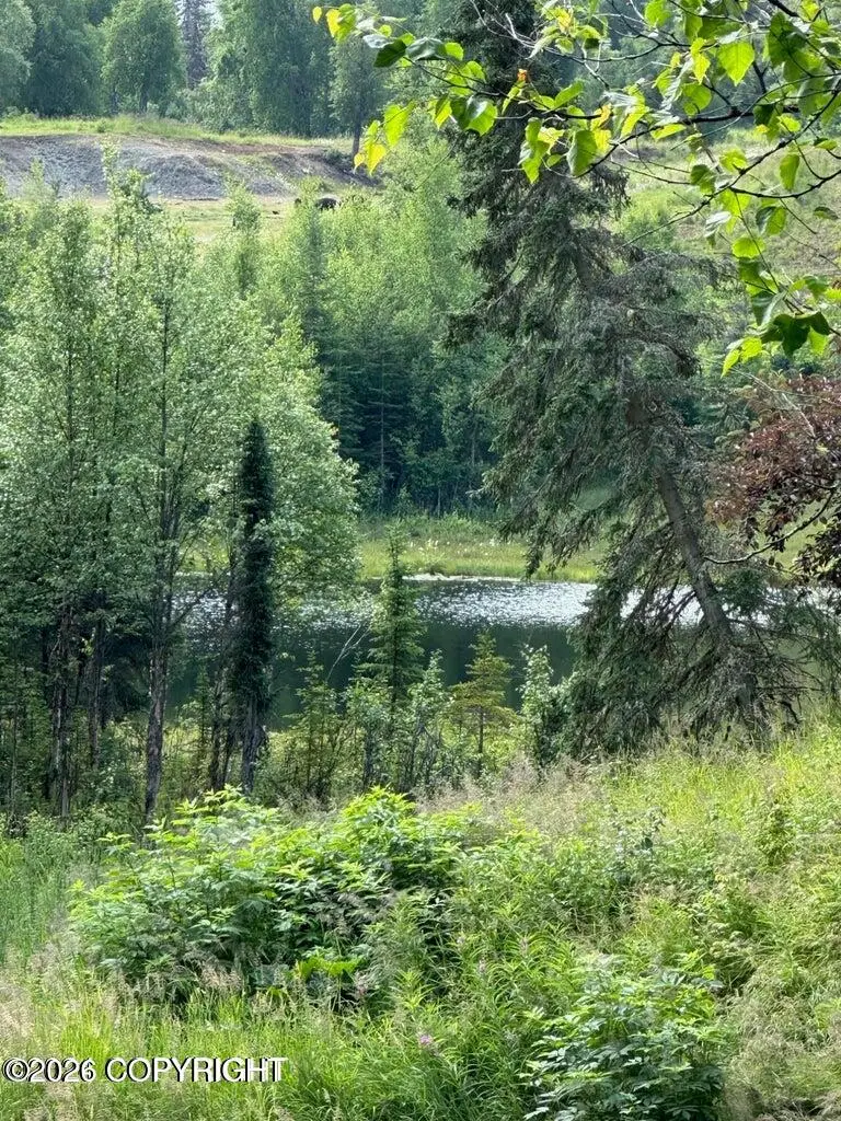 11A Debra Drive, Soldotna, AK 99669 - #1