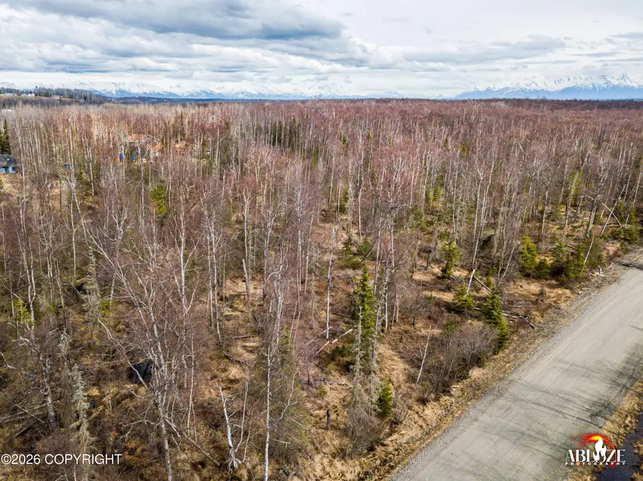 7927 W Hentila Street, Wasilla, AK 99623 - #2