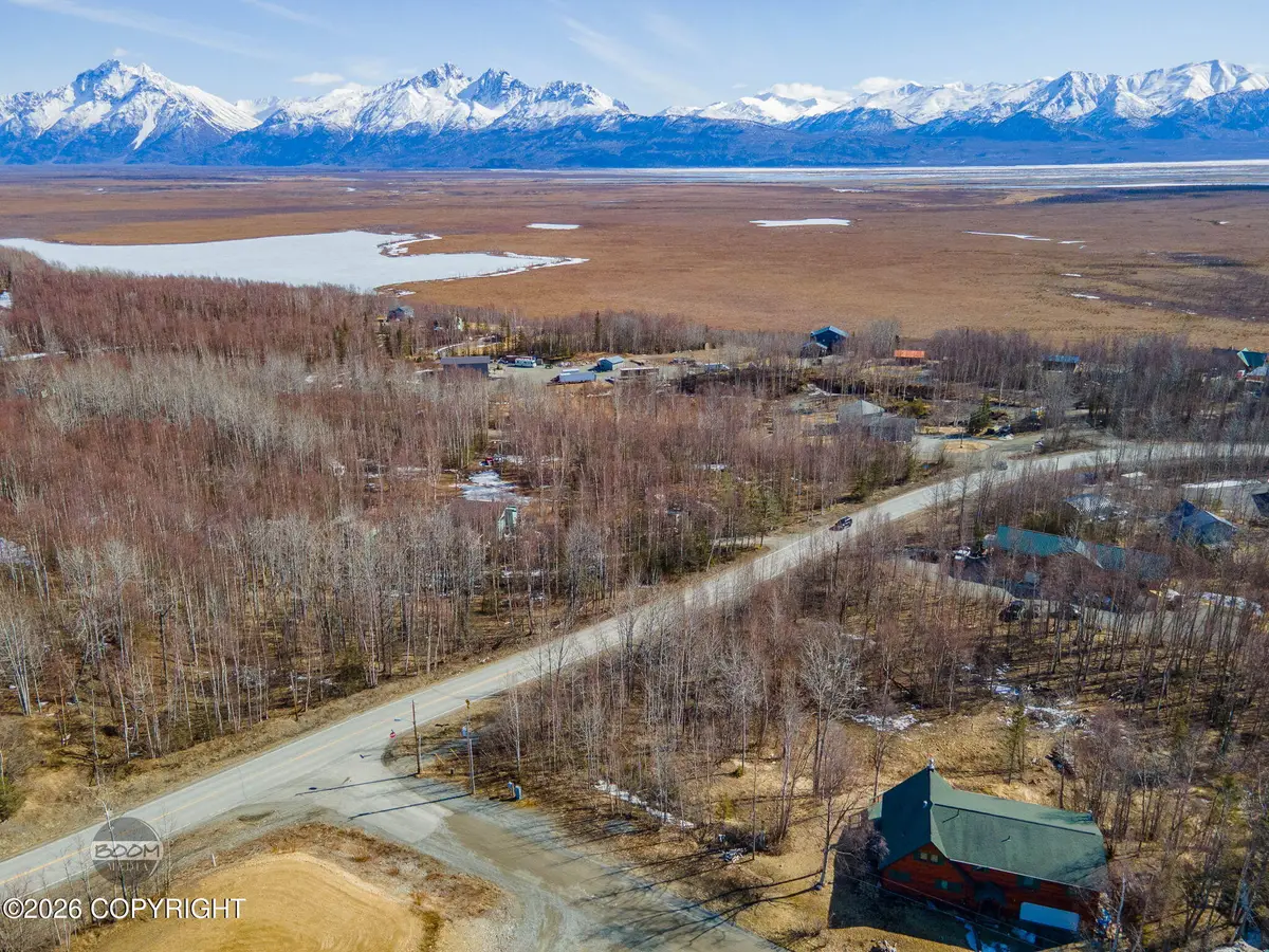 1160 E Chugach View Drive, Wasilla, AK 99654 - #1