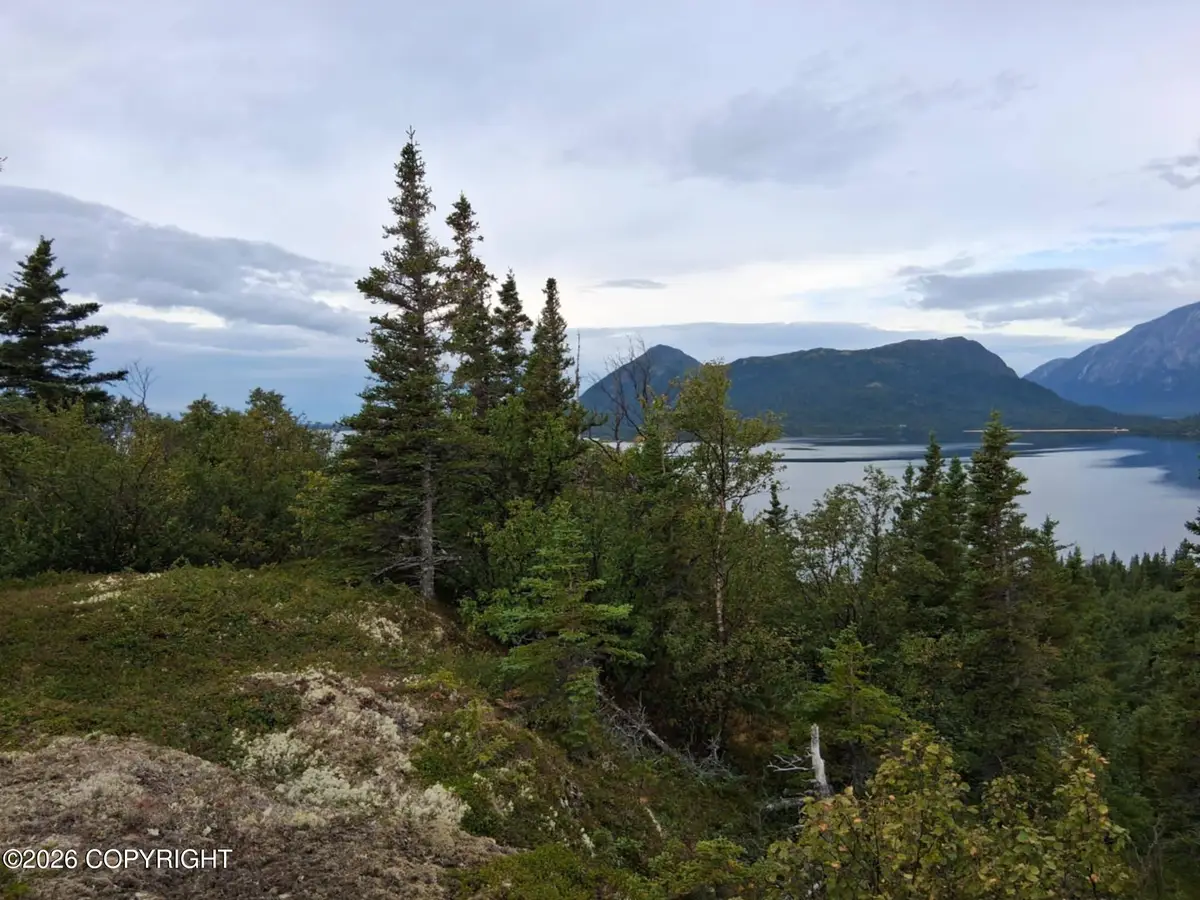 L3 Russian Creek, Iliamna, AK 99606 - #1