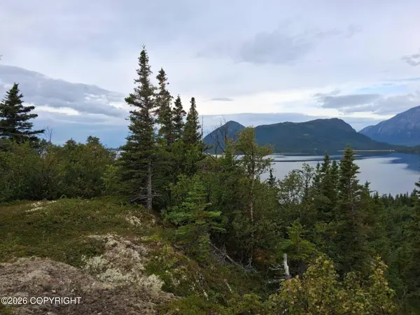 L3 Russian Creek, Iliamna, AK 99606