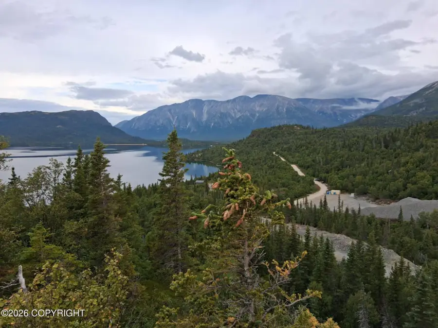 L3 Russian Creek, Iliamna, AK 99606 - #2