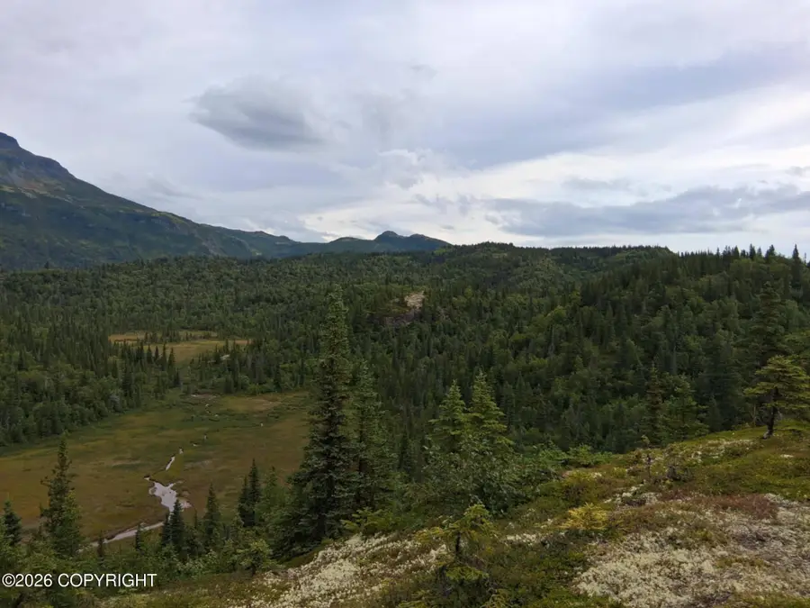 L3 Russian Creek, Iliamna, AK 99606 - #3