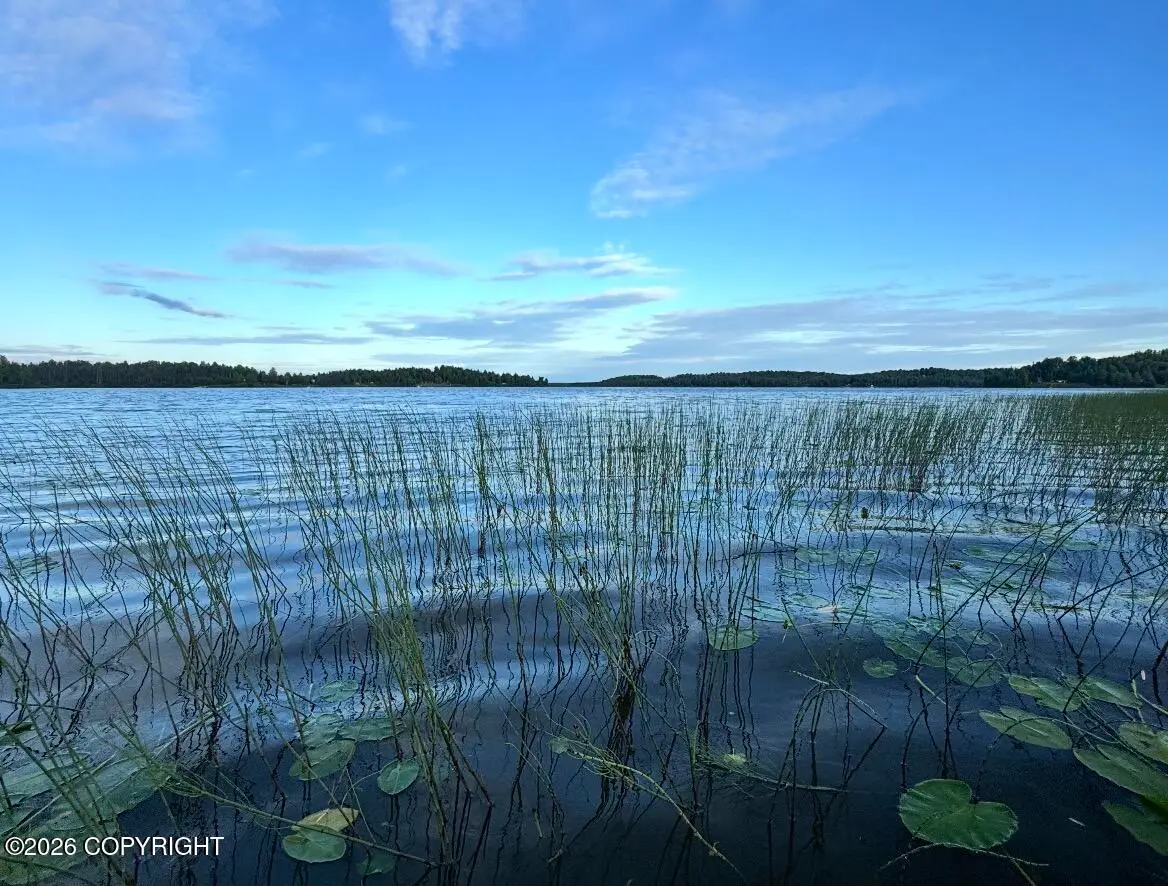 Tr 17 Trapper Lake, Willow, AK 99688 - #1