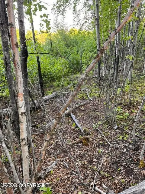 13957 W Aero Lane, Big Lake, AK 99652 - Image #1