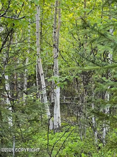 13957 W Aero Lane, Big Lake, AK 99652 - Image #2