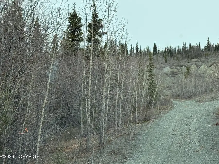 Mi 165 Glenn Highway, Glennallen, AK 99588 - #3